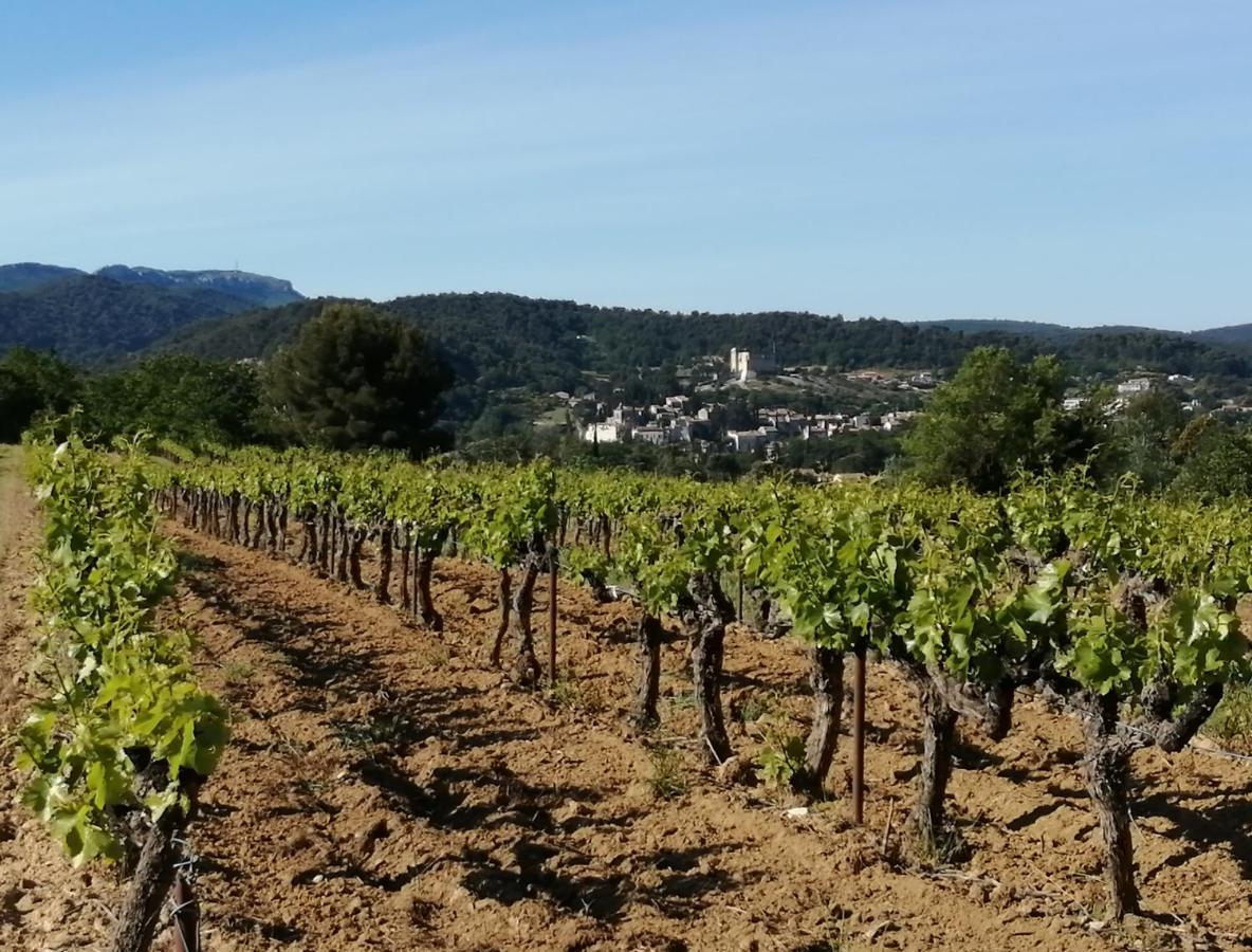 Au Villadior - Vaison La Romaine Zewnętrze zdjęcie